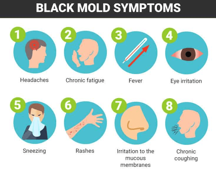 How Mold Affects Our Health